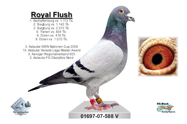 Royal Flush