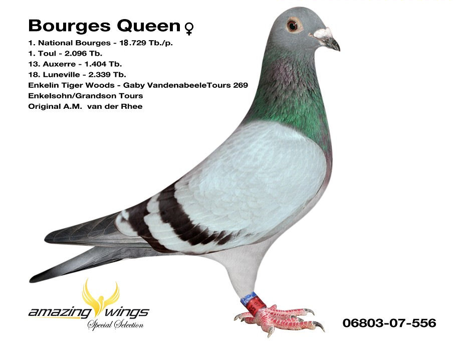 miss bourges