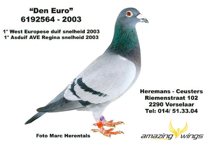 Den Euro
