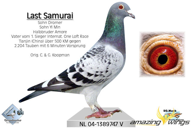 Last Samurai