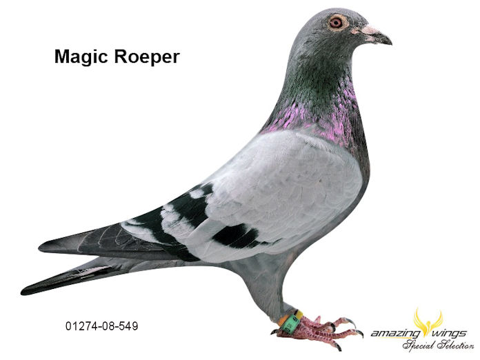 Magic Roeper1