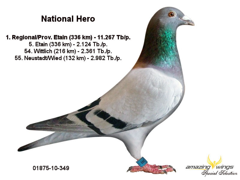 National Hero