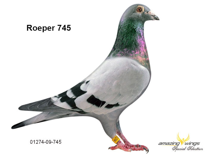 Roeper 745 1