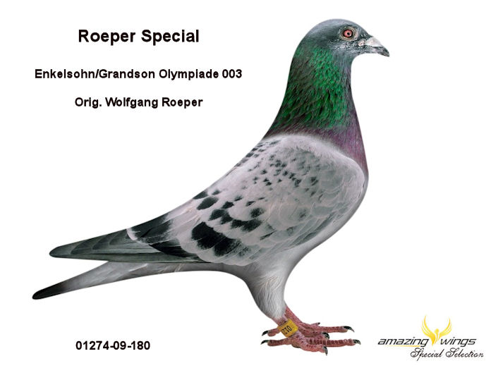 Roeper Special