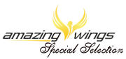 Special Selection button