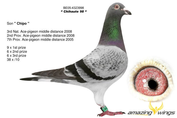 chihaut98