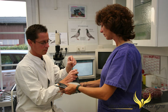Becker Behandlung