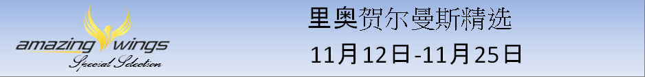 November cn