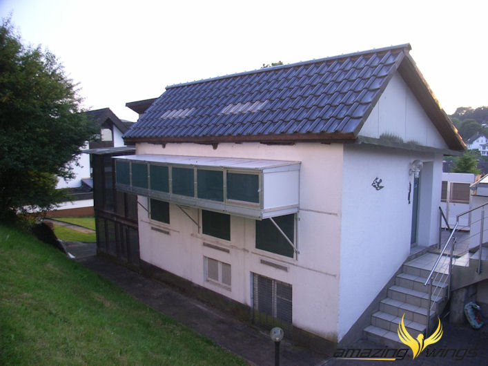 Schlag1