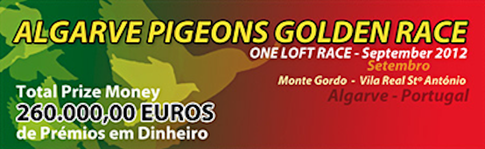 banner-topo