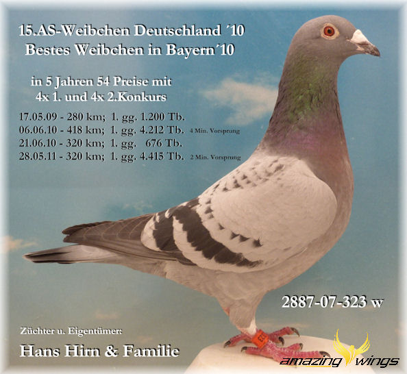 323 mit Text 2011