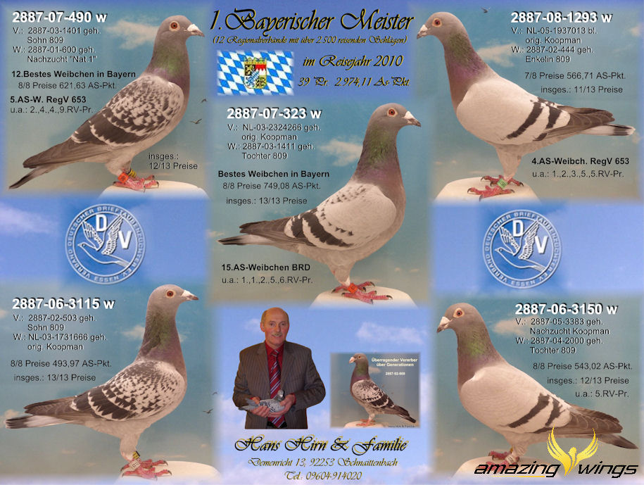 Bayerische Mst Hirn