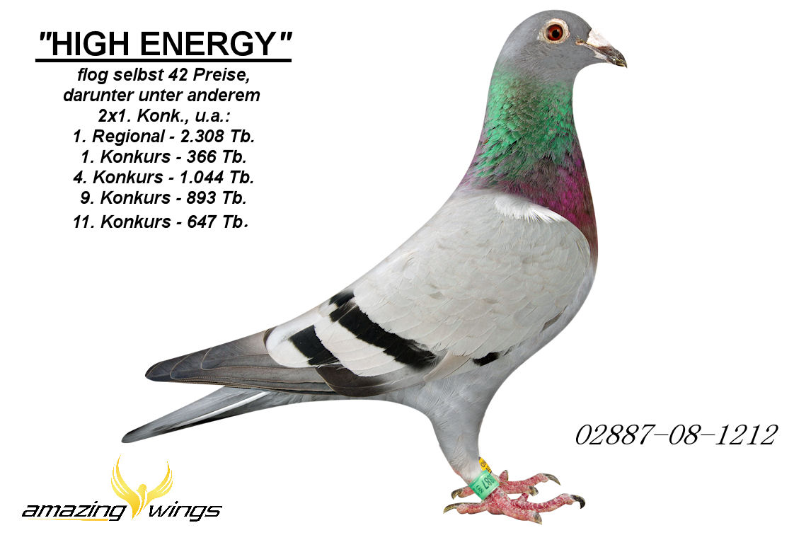 High Energy d