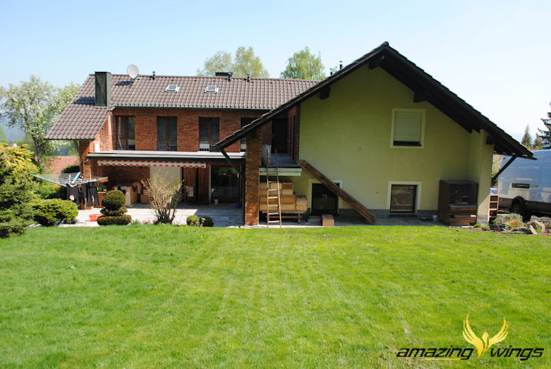 Hirn5