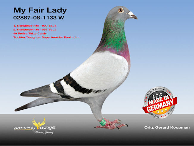 My Fair Lady