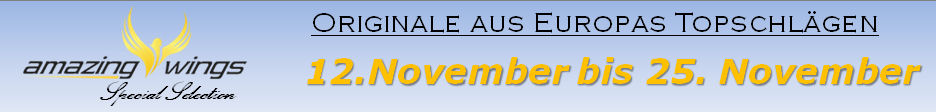 Special November