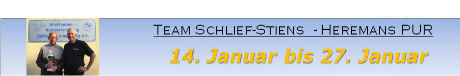 banner stiens neu