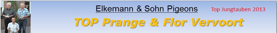 cf3cbd06-1a0f-41de-bd05-6e675657694eelkemann banner