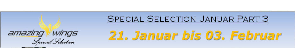 special part 3 banner