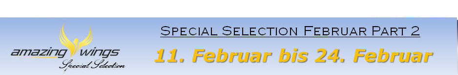 ss feb 2