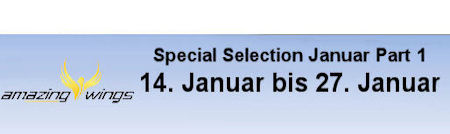 ss jan banner1