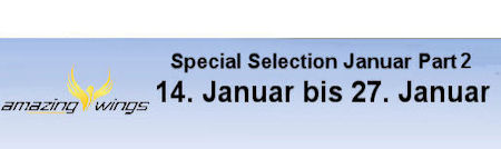 ss jan banner2a