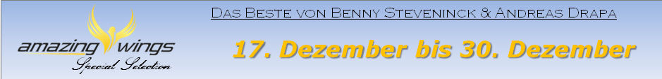 steveninck