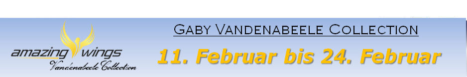 vandenabeele banner
