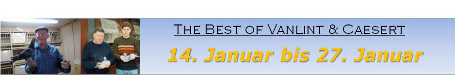 vanlint banner1
