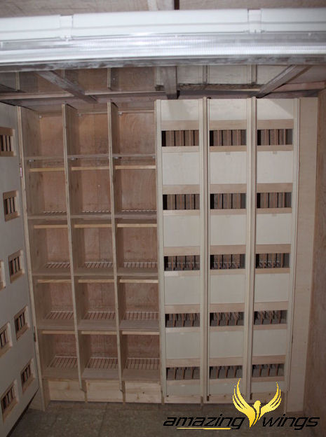 weibchenschrank
