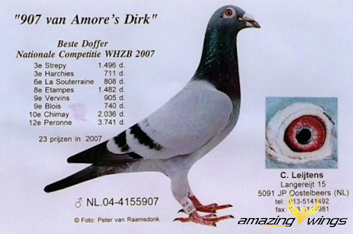 907 v AmoresDirk