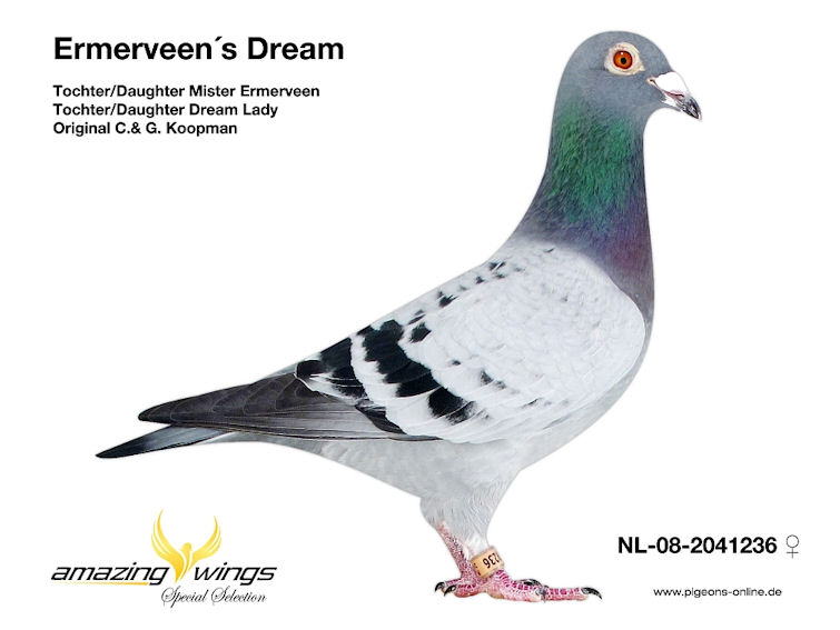 Ermerveen