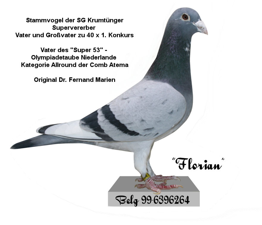 Florian