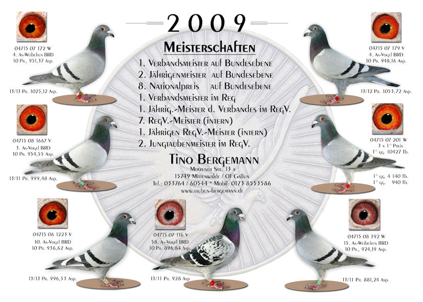 Gruppe tino
