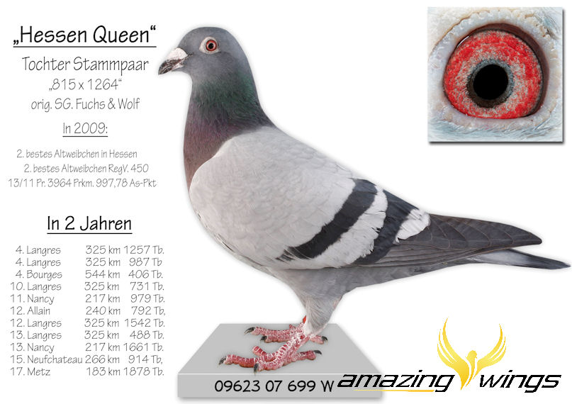 Hessen Queen