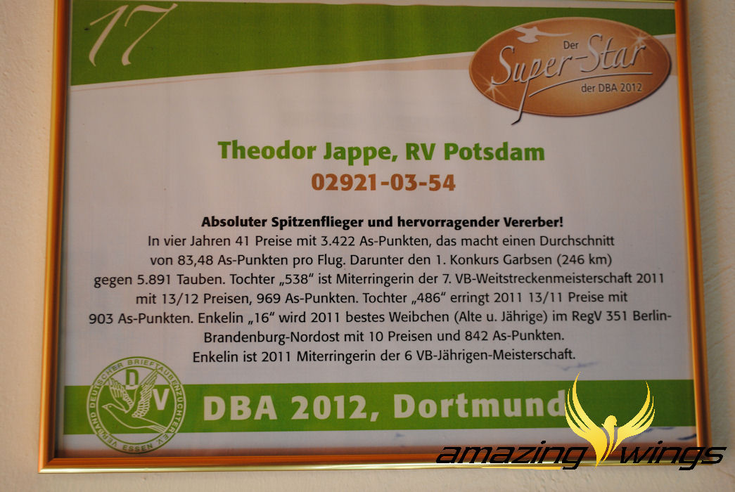 Jappe3