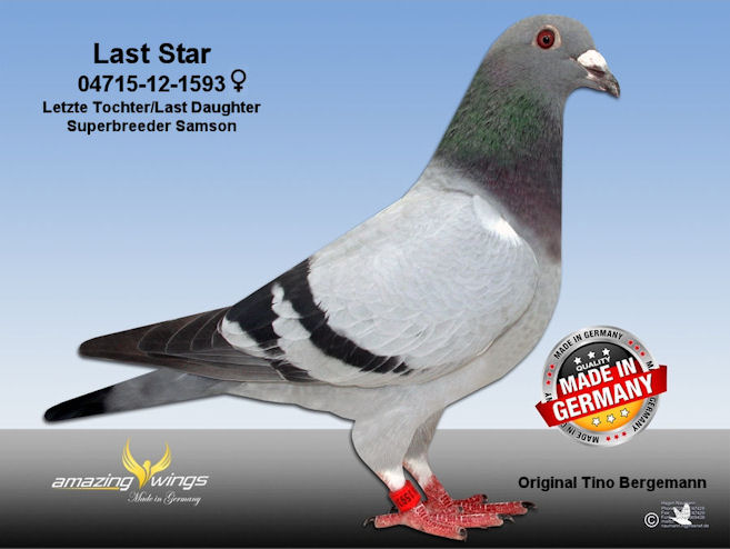 Last Star