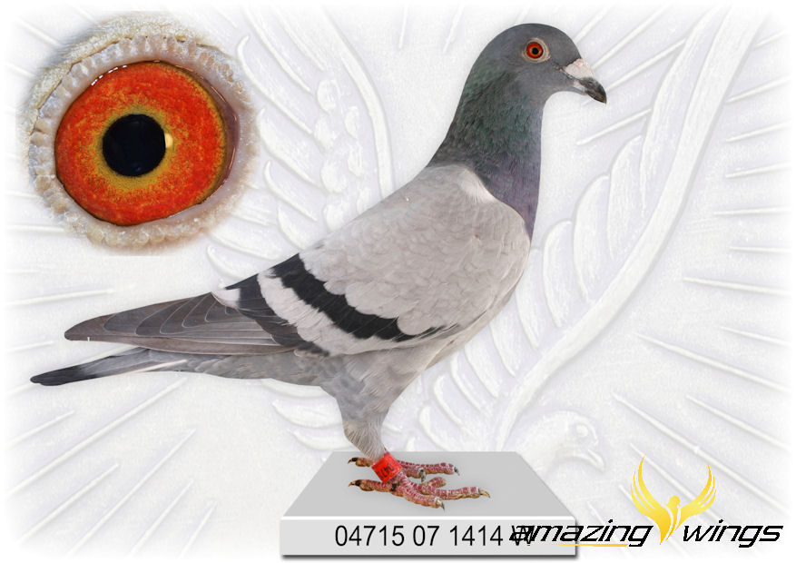 Tochter Superstar 1