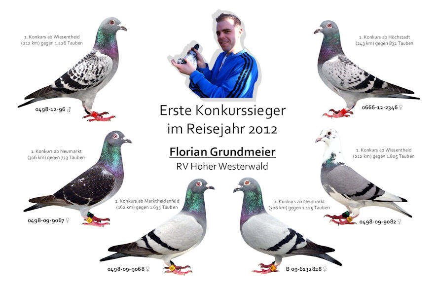 1 Konkurssieger 2012