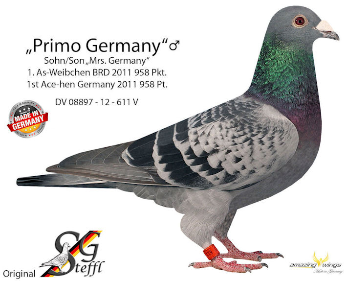 Germany Miss