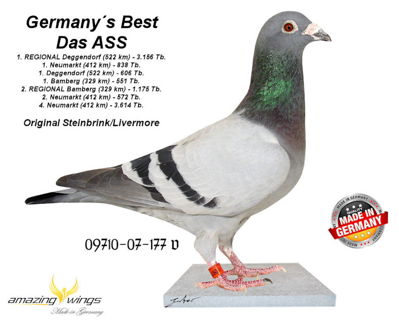 Germanys Best