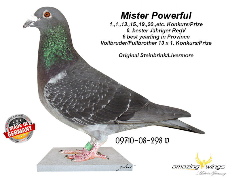 Mister Powerful