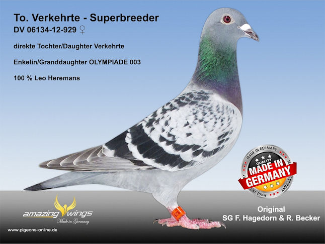 Tochter Verkehrte