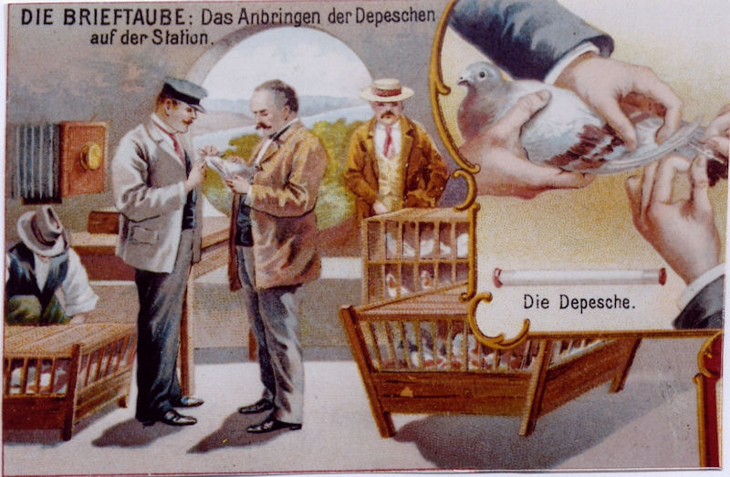 Umgang Depesche
