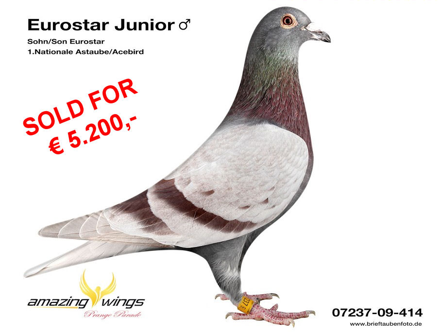 eurostar jr