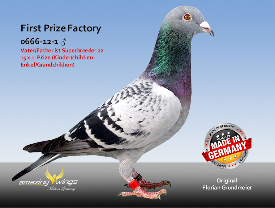first prize factory