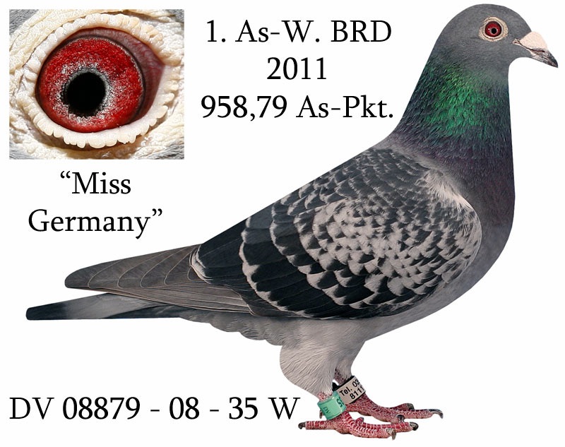 miss germany