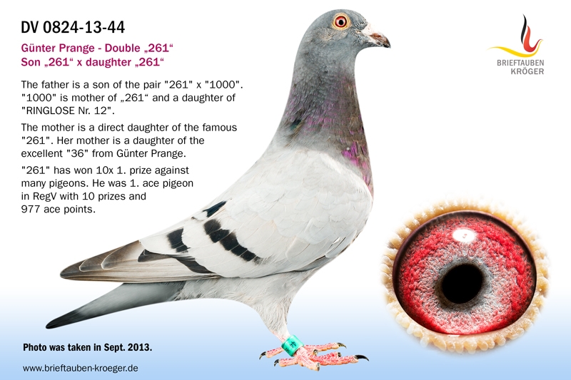 Double 261