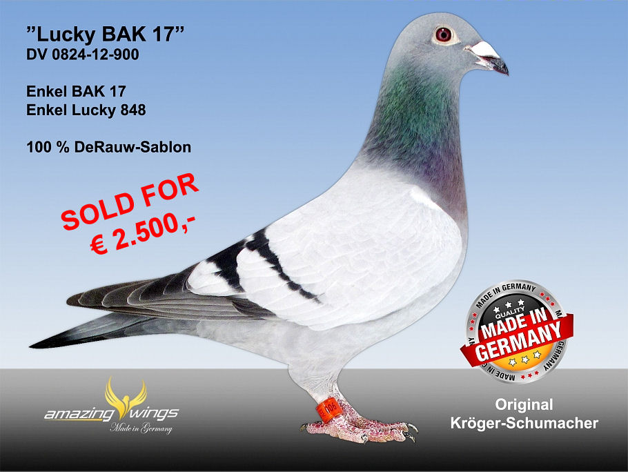 Lucky BAK 17