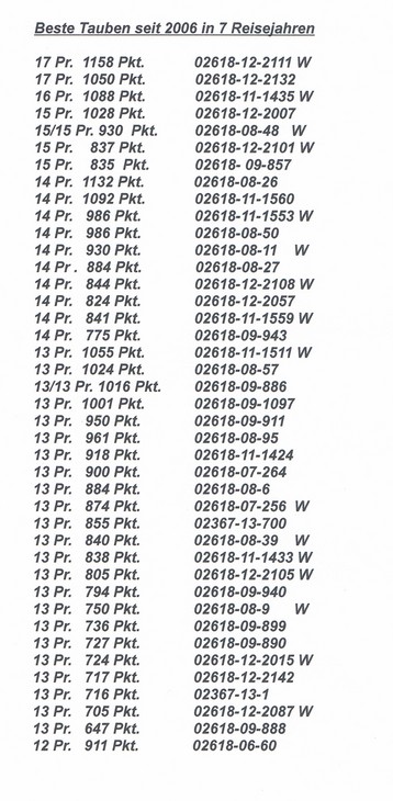 beste tauben